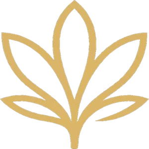 saffron-networking.com